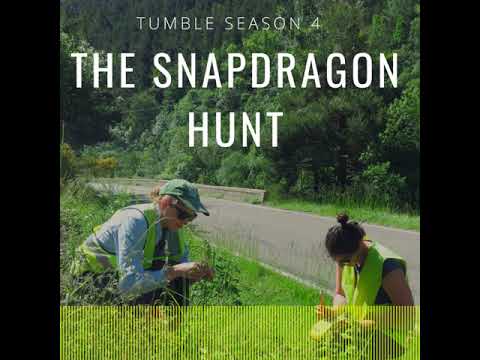 download lagu mp3 mp4 Tumble Podcast, download lagu Tumble Podcast gratis, unduh video klip Tumble Podcast