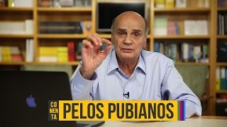 Processo Que Remove Os Pelos Do Corpo Humano