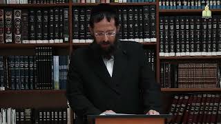 האם כל מלאכות הקרקע מותרות בשמינית - הרה''ג אהרון פרנקל שליט"א