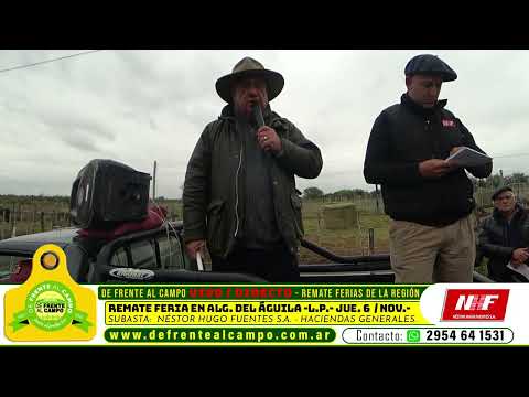 REMATE FERIA de NÉSTOR HUGO FUENTES S.A. en ALGARROBO del ÁGUILA -L.P.- JUEVES 6 / NOV. / 2025 -