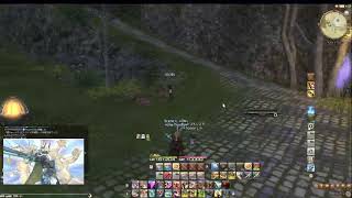 FF14 ひっそり小声で極かニーア