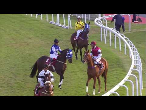 16th Race Meeting of Season 2016 / 2017