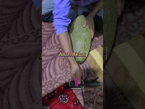 "Watch how an Afghan village boy attacks a melon!" #shorts