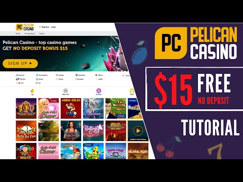 Pelican Casino vodič: Kako začeti in izkoristiti bonuse – praktični nasveti