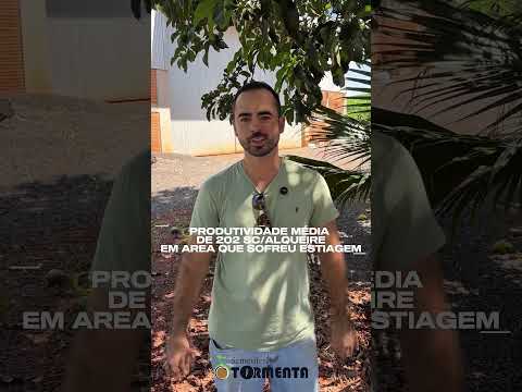 INT 6185. CAMPINA DA LAGOA - PR