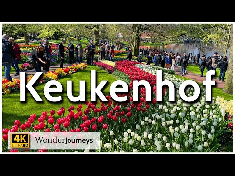 Keukenhof • Flower Garden of Holland • 4K