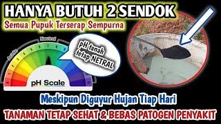 Download lagu ONLY 2 SPOONS ARE THE KEY TO NEUTRALIZE SOIL PH - SO THAT PLANTS ARE HEALTHY AND NUTRITION IS ABS... mp3 Download lagu ONLY 2 SPOONS ARE THE KEY TO NEUTRALIZE SOIL PH - SO THAT PLANTS ARE HEALTHY AND NUTRITION IS ABS... mp3