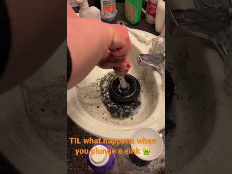 TIL what happens when you plunge a sink 🤮