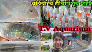 রবিবারের হাটে T V Aquarium শ্রীরামপুরে | Aquarium Fish Shrirampur | Aquarium Fish | Serampore Haat 