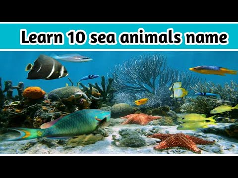 Learn 10 aquatic animals name ||  water animals || sea animals || #nameofaquaticanimals