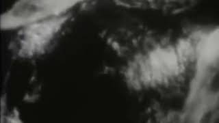 Godflesh - Veins (music video)
