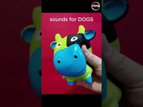 Dog Owners: Try These Irresistible Squeaky Sounds! #shorts #squeakytoy