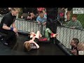 Olivia Rose Price Vs Faye Gibson Fight Night Cardiff Juniors Female Super Fight