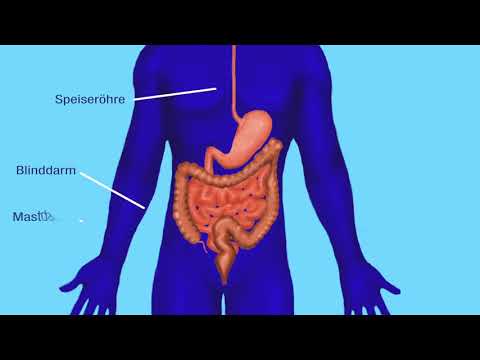 Parkinson Erklärfilme 10 -  Was passiert im Körper