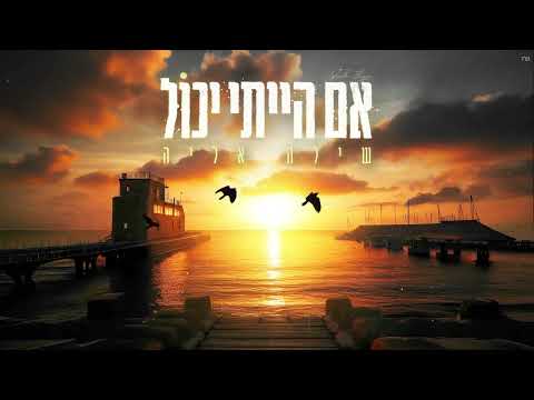 אם הייתי יכול
