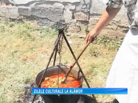 ZILELE CULTURALE LA ALAMOR