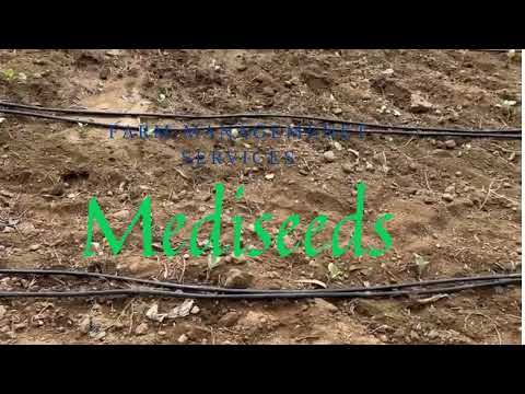 Straw hand operated chaff cutter machine