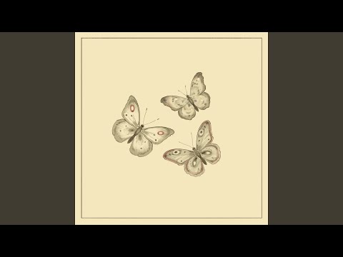 butterfly waltz