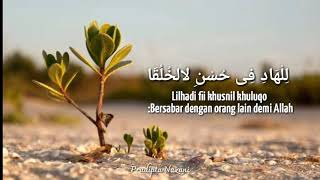 Download lagu Story WA sholawat adfaita mp3 Download lagu Story WA sholawat adfaita mp3