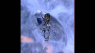 Oorutaichi ‎- Negro Shrine Jungle