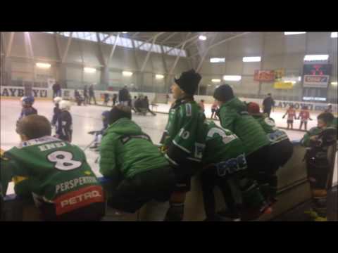 Zmajčki, Turnir Zalog, 6.11 - Navijanje za svoje soigralce