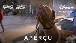 Turner & Hooch - Aper�u | Disney+
