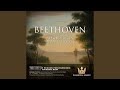 Beethoven Symphony No. 7 in A Major: IV. Allegro Con Brio