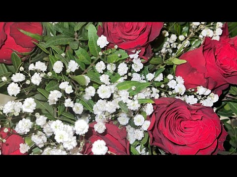 Wedding song arabic Libanon 3arus 2023🤍