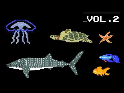 Cetacean collection volume 2 book, fish, & sharks @TheKidsPictureShow 