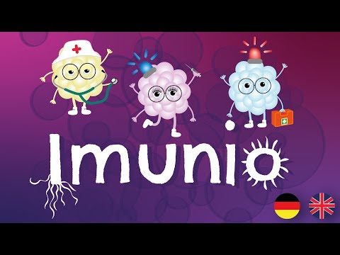 Rules of the Game Imunio - Englisch