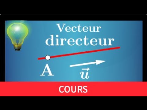 Comprendre la définition d'une droite à l'aide d'un vecteur directeur • seconde mathématiques