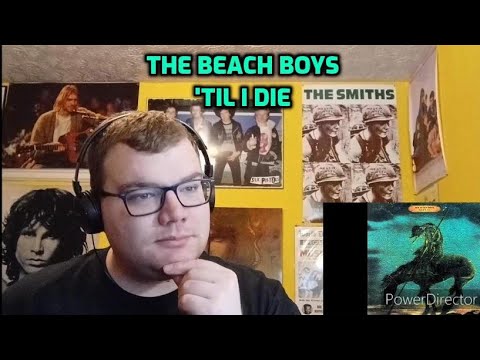 The Beach Boys - 'Til I Die | Review!