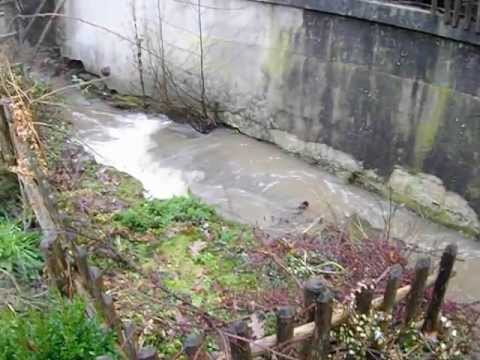 hochwasser-im-heslachhof .AVI