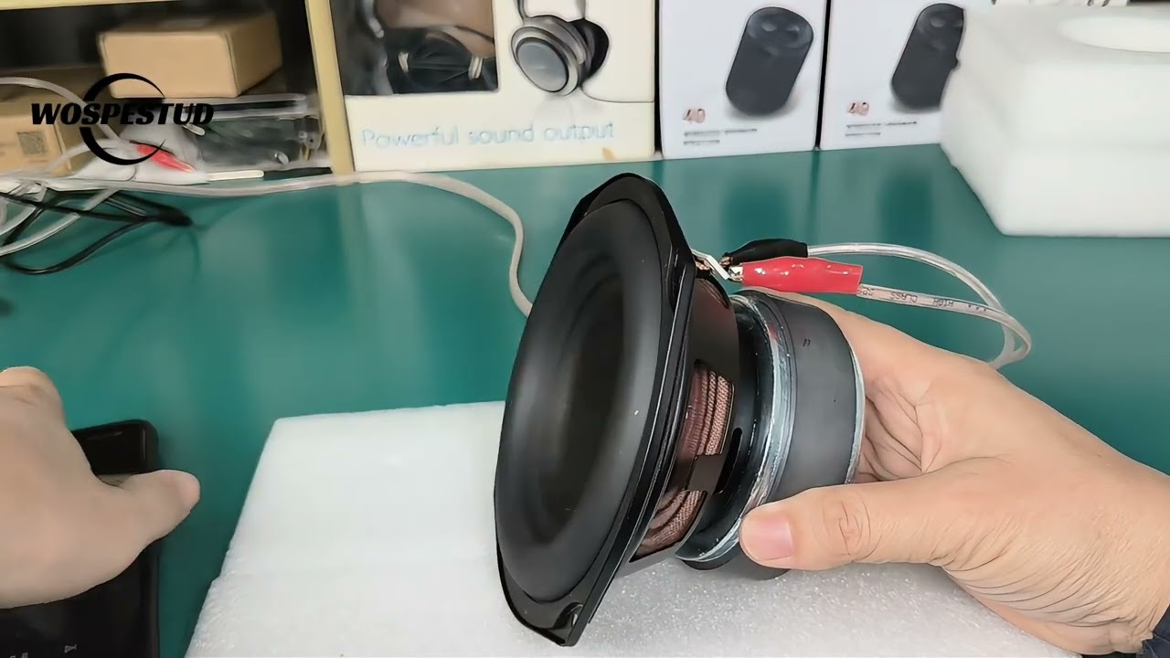 An amazing excursion midbass speaker, real Harman Kardon?