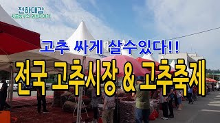 전국 고추시장 고추축제 총정리 / 고추 싸게 사는 노하우