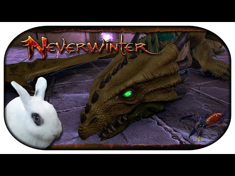 NEVERWINTER: Paladin-LP 🐇 134 - Drachen töten leicht gemacht