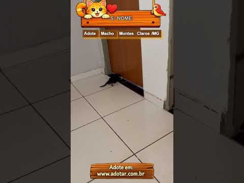 Vídeo de S/ NOME