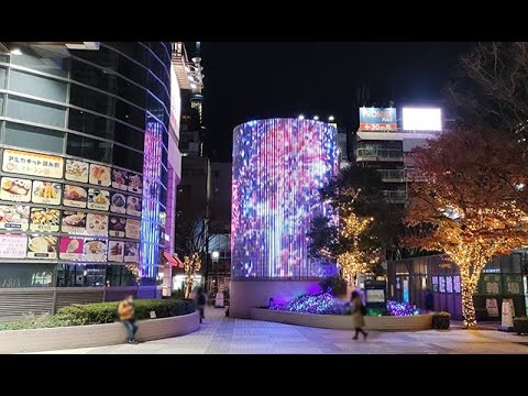 動画 夏(日本エスフィール株式会社)