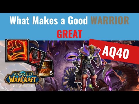 What Makes a Good Warrior GREAT?? (CD Usage Guide AQ40)