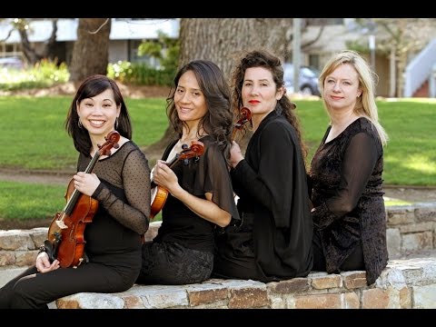 Someone To Watch Over Me (Gershwin) by Amicus Strings