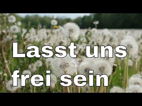 Löwenzahnwiesen sind eine Quelle der Inspiration für Freiheit und Leichtigkeit: Gedanken im Mai