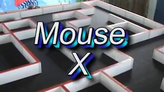 preview picture of video 'Mouse X at Otley College'