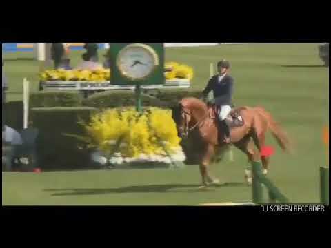 CSIO5* Calgary 2017 / Kévin Staut & Silver Deux de Virton*HDC - manche 1, 1.60m