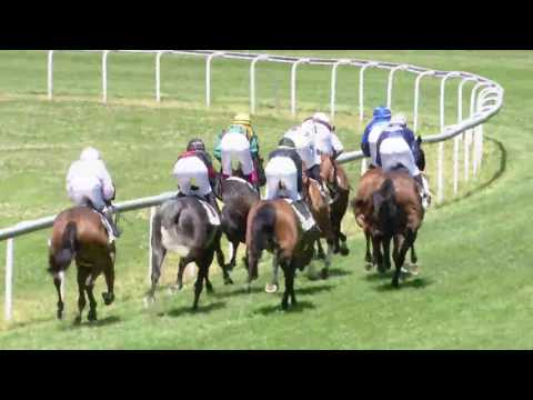 Dielsdorf/18.06.2017/Preis der Freunde des Rennvereins Zurich