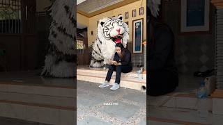 Download lagu Lagi main game digigit Can Macanan mp3