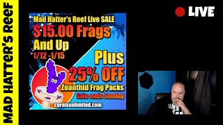 🔴 Mad Hatter's Reef Live Sale
