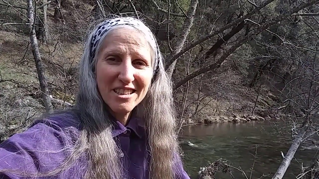 Welcome to Healthy Homesteading Adventures!