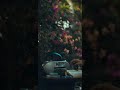 Mounam Swaramayi Whatsapp Status