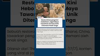 Restoran Unik di China Tawarkan Sensasi Makan Bersama Anak Singa, Jadi Kontroversi Warganet