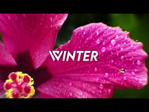 DJ NALASH X MAARCOLME - TOXIQUE ( ZOUK REMIX ) 2023